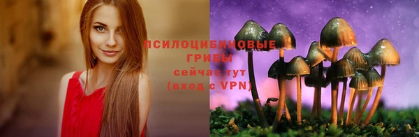МДПВ Ельня