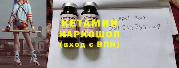 крисы Няндома