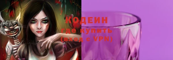 крисы Няндома