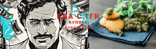 МДПВ Ельня