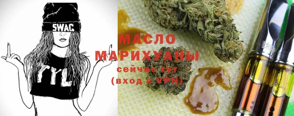 МДПВ Ельня
