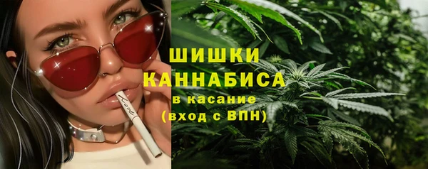 крисы Няндома