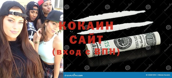 крисы Няндома
