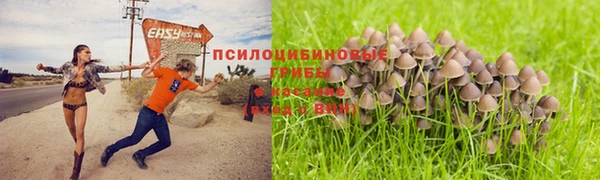 МДПВ Ельня