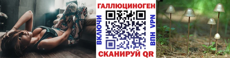 Псилоцибиновые грибы Psilocybe  Приозерск 