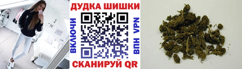 наркота  Приозерск  Бошки марихуана OG Kush 